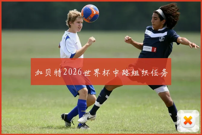 加贝特2026世界杯中路组织任务