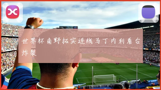 世界杯南野拓实连线马丁内利看台炸裂