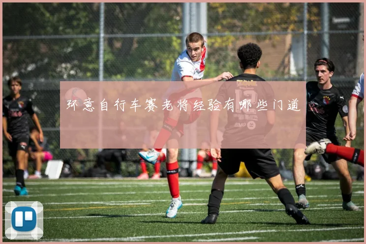 环意自行车赛老将经验有哪些门道