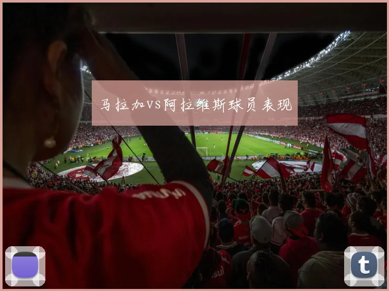 马拉加vs阿拉维斯球员表现