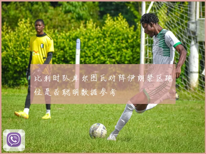 比利时队库尔图瓦对阵伊朗禁区跑位是否聪明数据参考